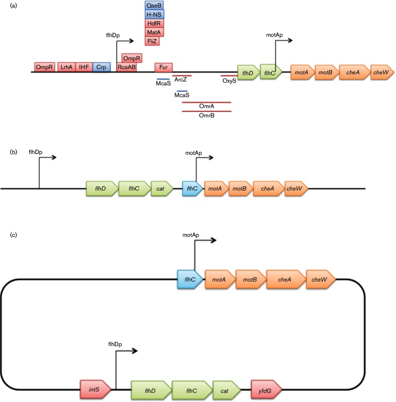 Fig. 1.