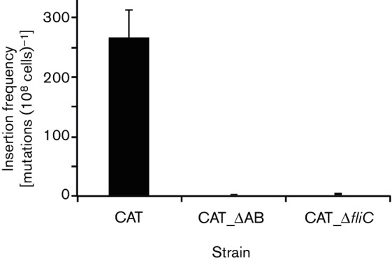 Fig. 7.