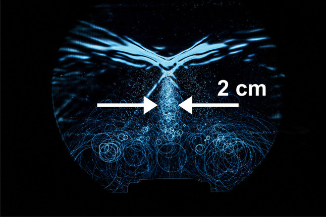 Fig. 10