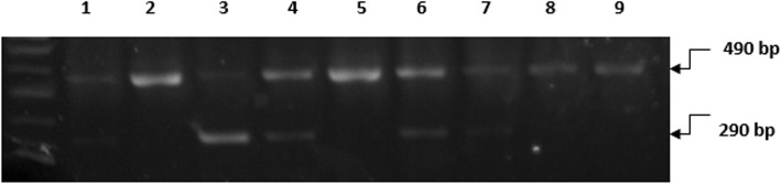 Fig. 2