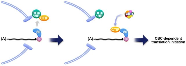 Figure 10.