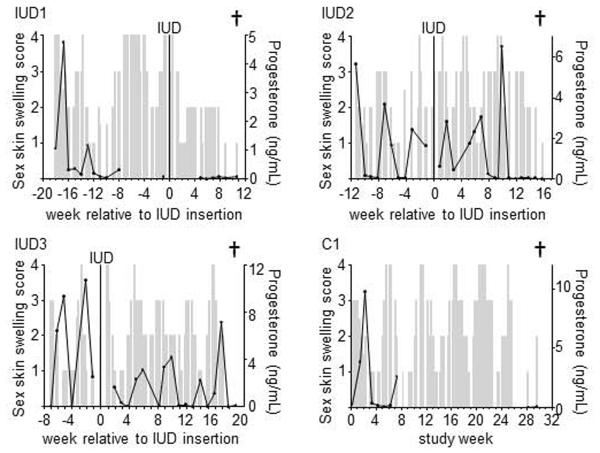 Fig. 3