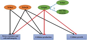 Fig. 11