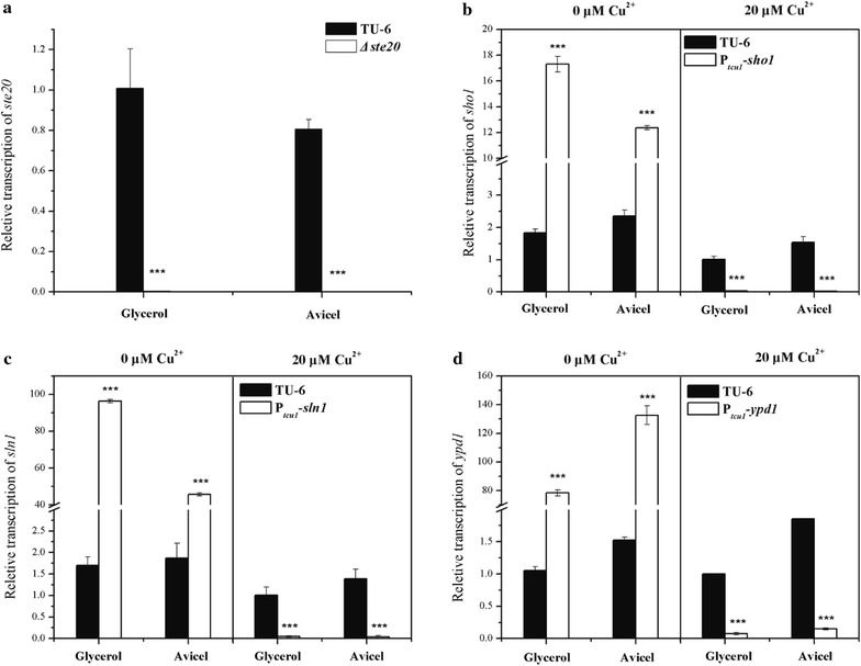 Fig. 2