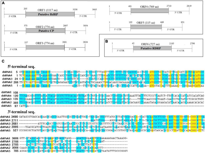 FIGURE 2