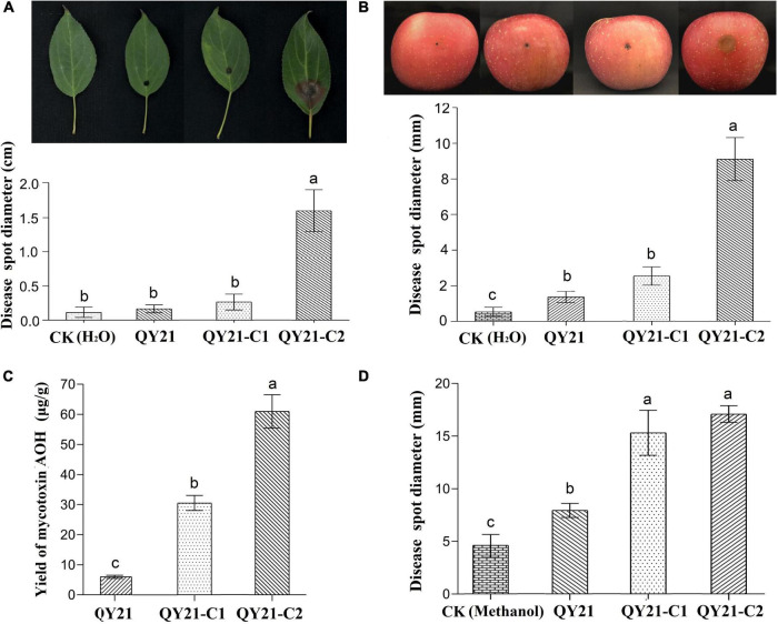 FIGURE 6