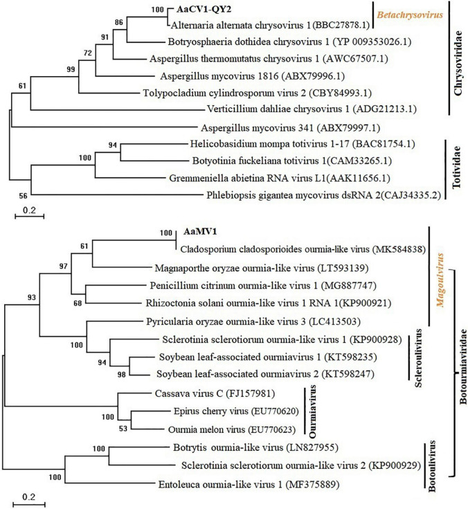 FIGURE 3