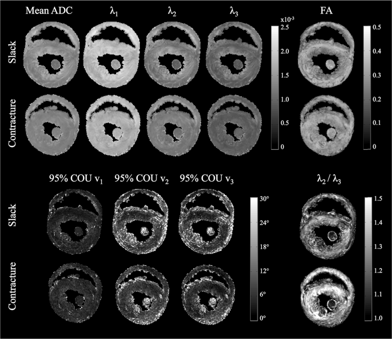 Fig. 2