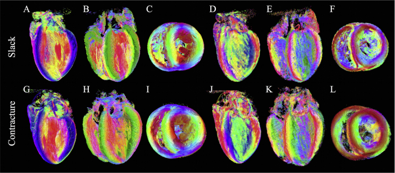 Fig. 5