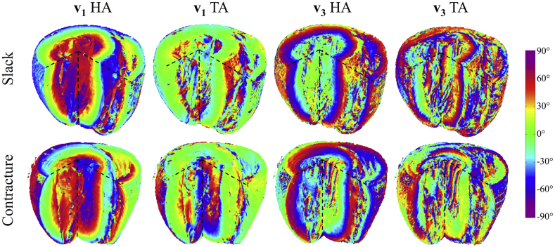 Fig. 7