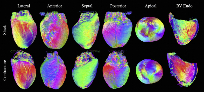 Fig. 4