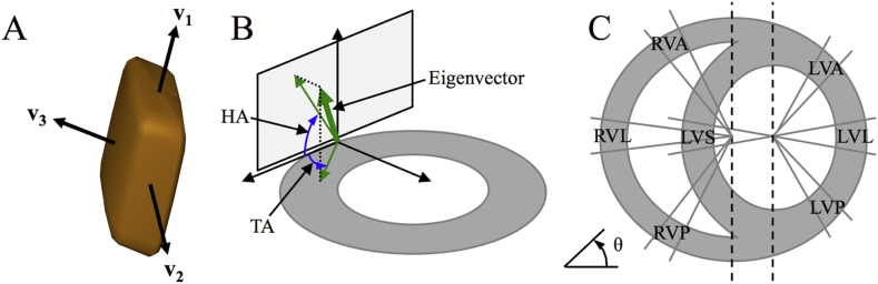 Fig. 1