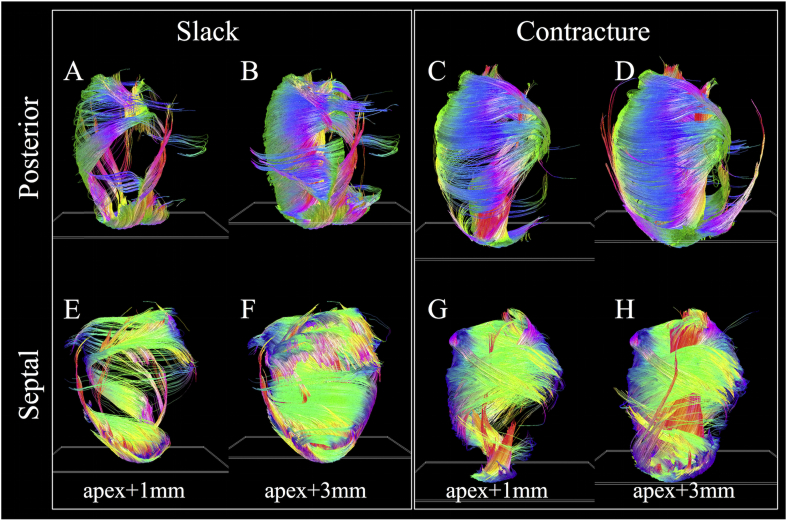 Fig. 6