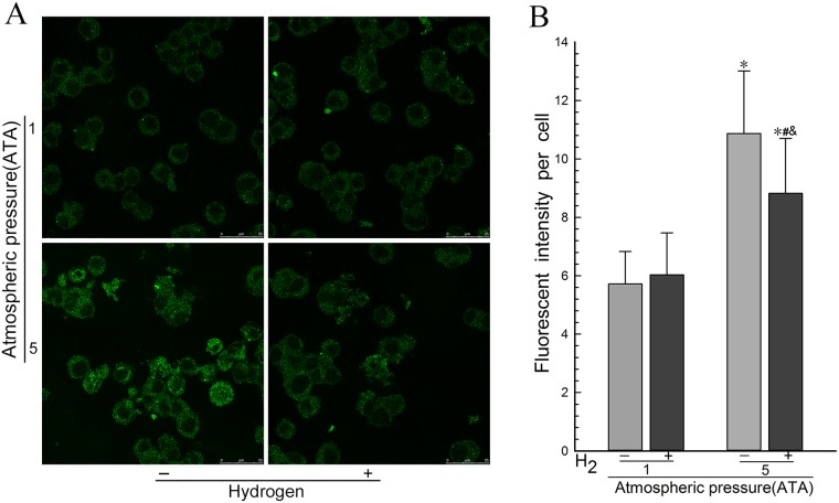 Fig 4