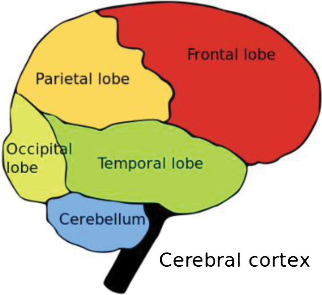 Fig.2