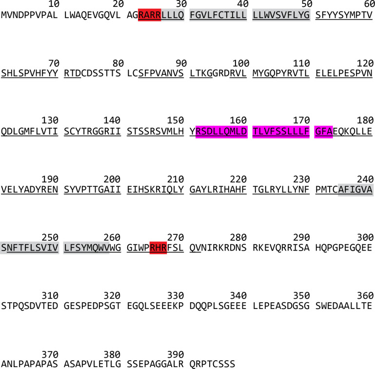 Figure 6—figure supplement 1.