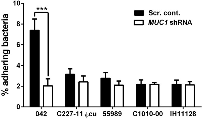 FIG 2 