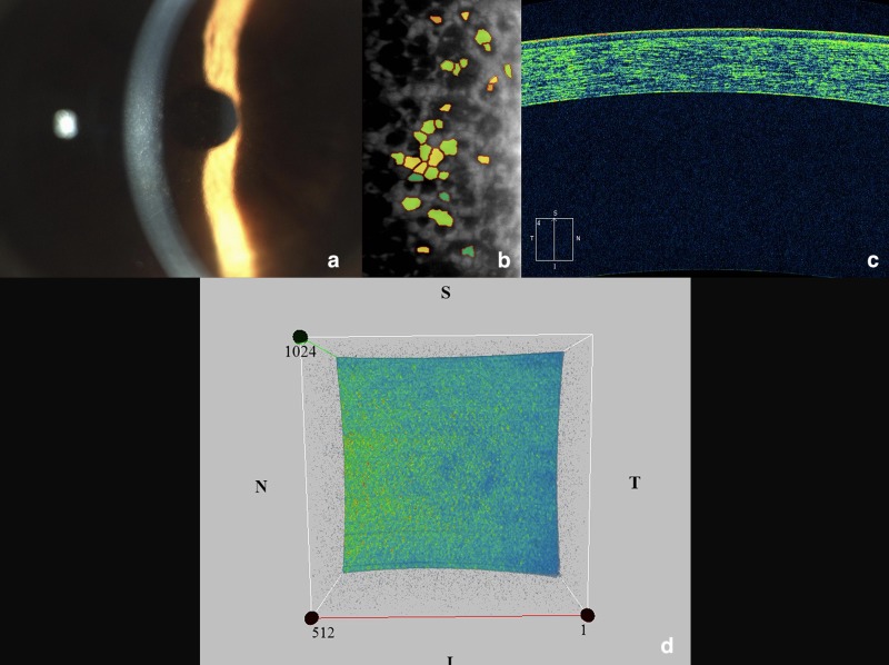 Fig 2