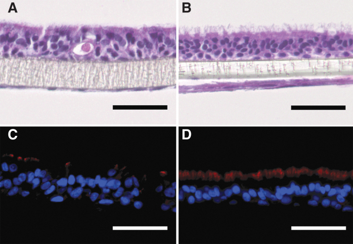 FIG. 5.