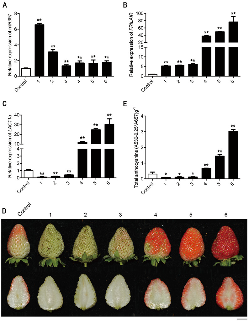 Fig 4