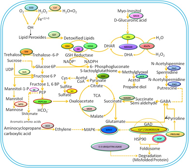 Fig 10