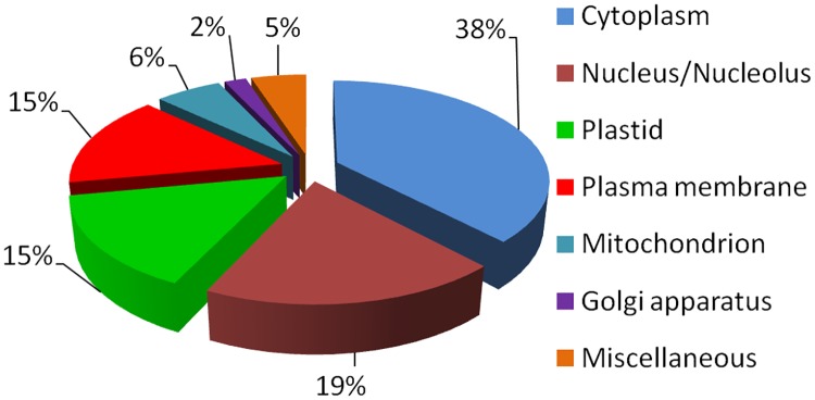 Fig 7