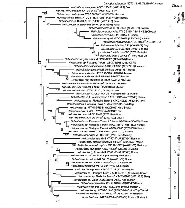 FIG. 3.