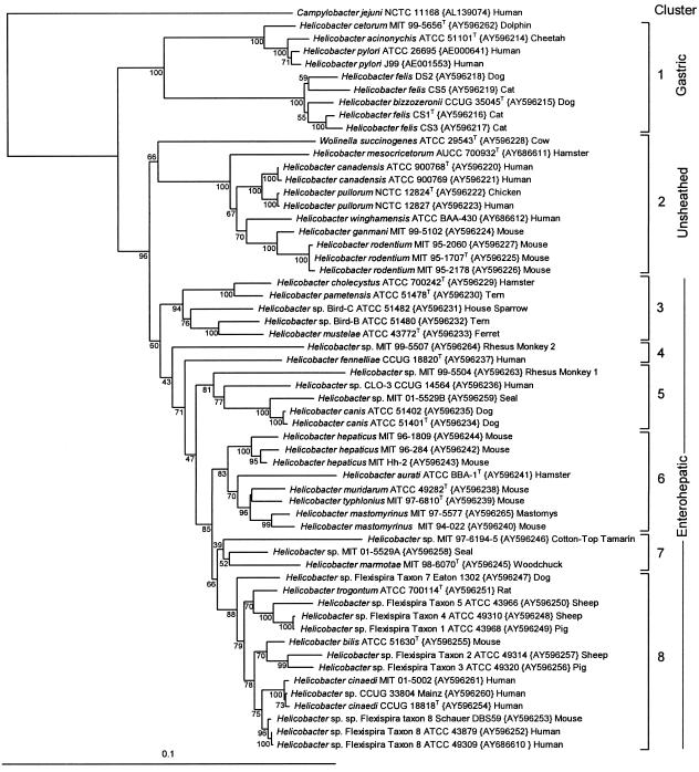 FIG. 2.