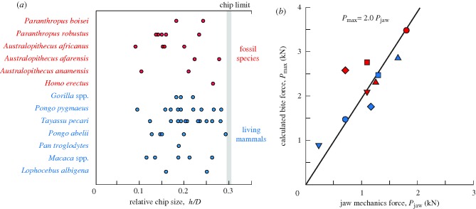 Figure 2.