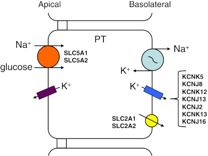 Fig. 2.