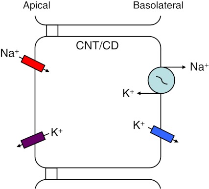 Fig. 1.