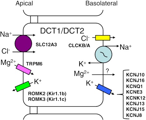 Fig. 4.