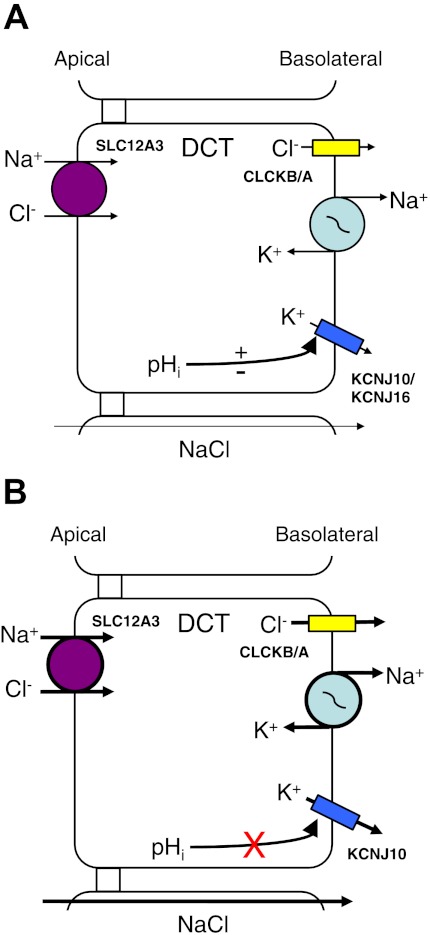 Fig. 7.