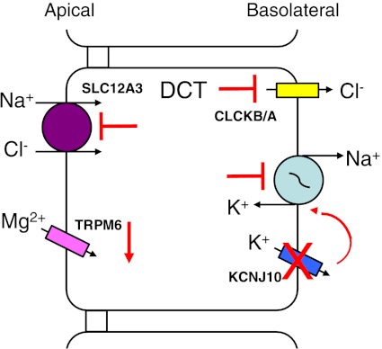 Fig. 6.