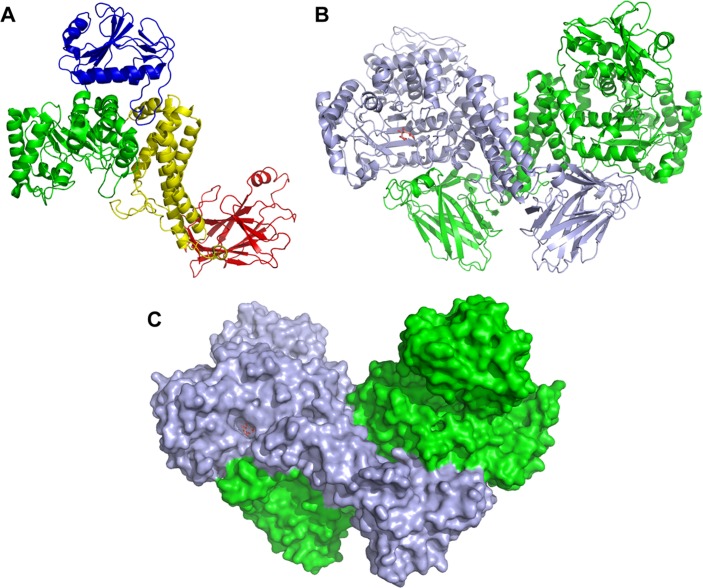 FIGURE 5.