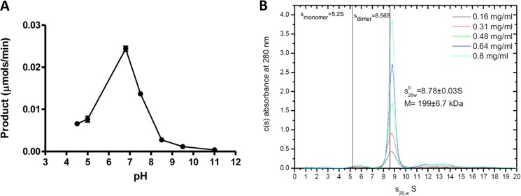 FIGURE 4.