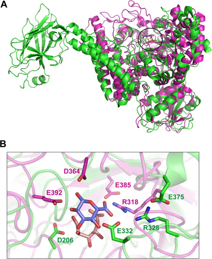 FIGURE 9.