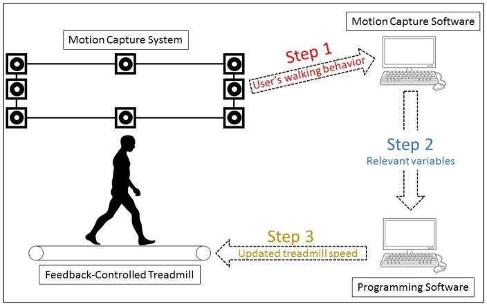 Fig. 3