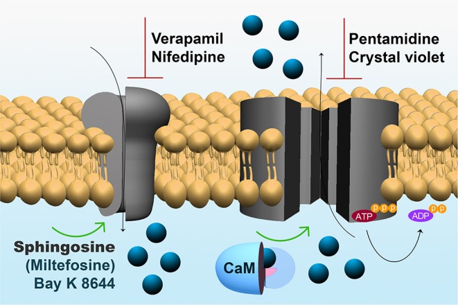 Figure 2