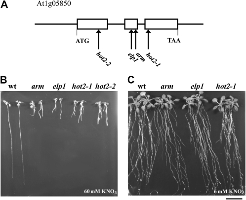 Figure 7.