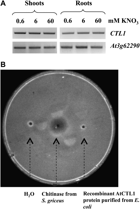 Figure 9.