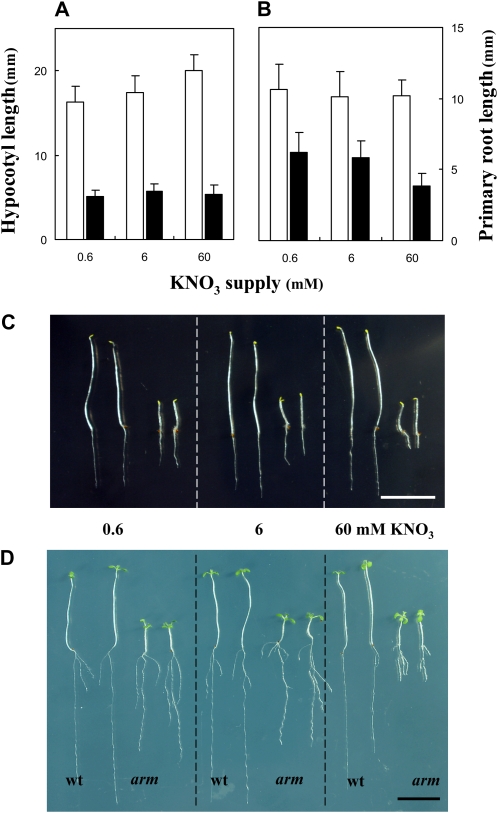 Figure 10.