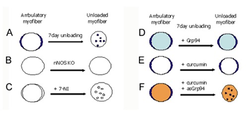 Fig. 10.