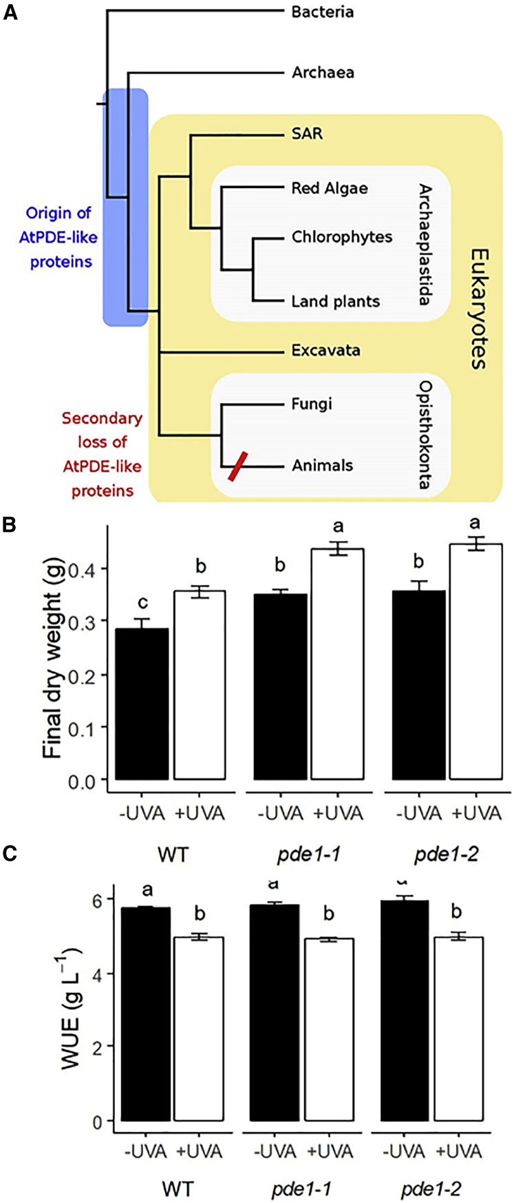 Figure 4