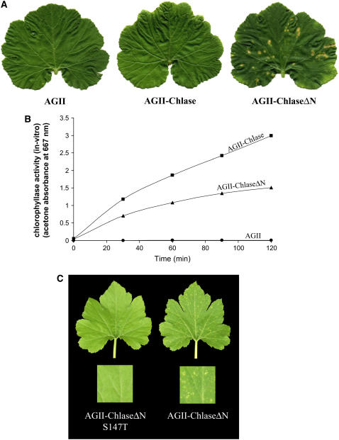 Figure 6.