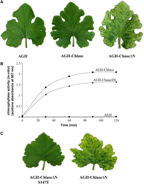 Figure 4.