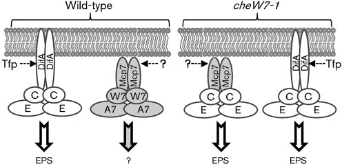 Fig. 7.