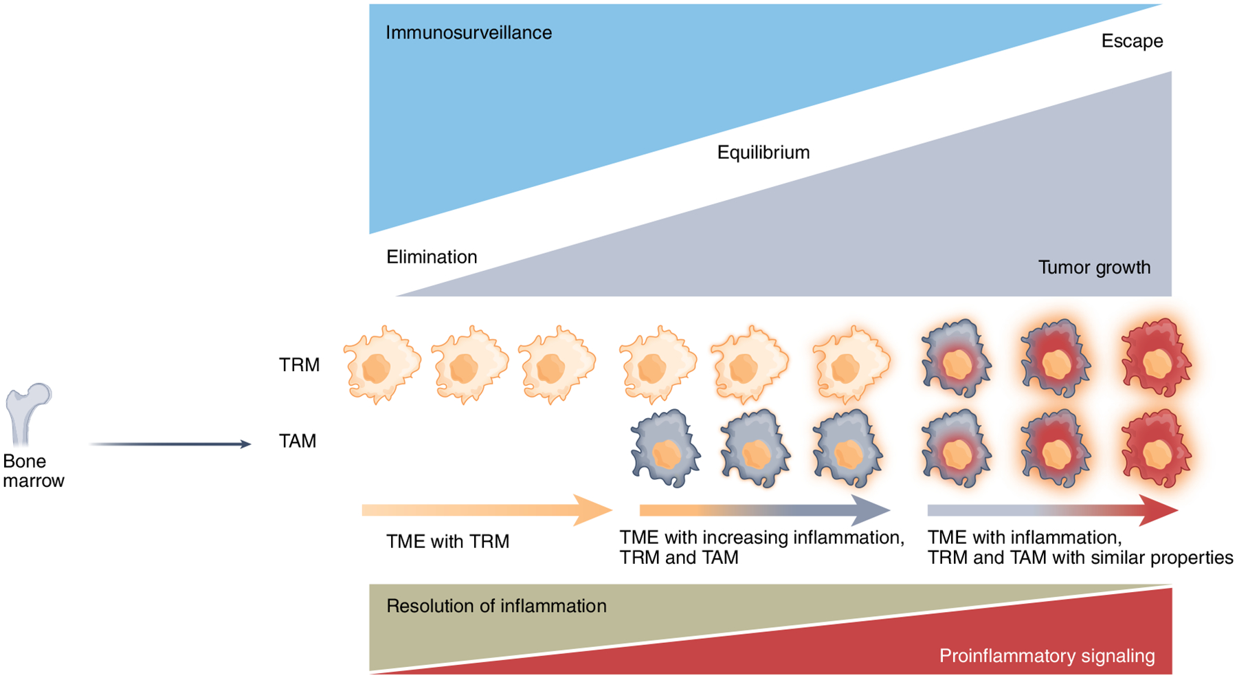 Fig. 4 |