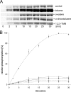 Fig. 5.