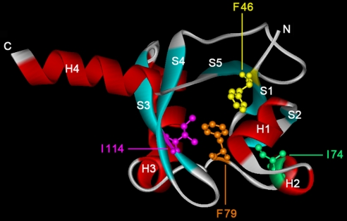 Fig. 4.